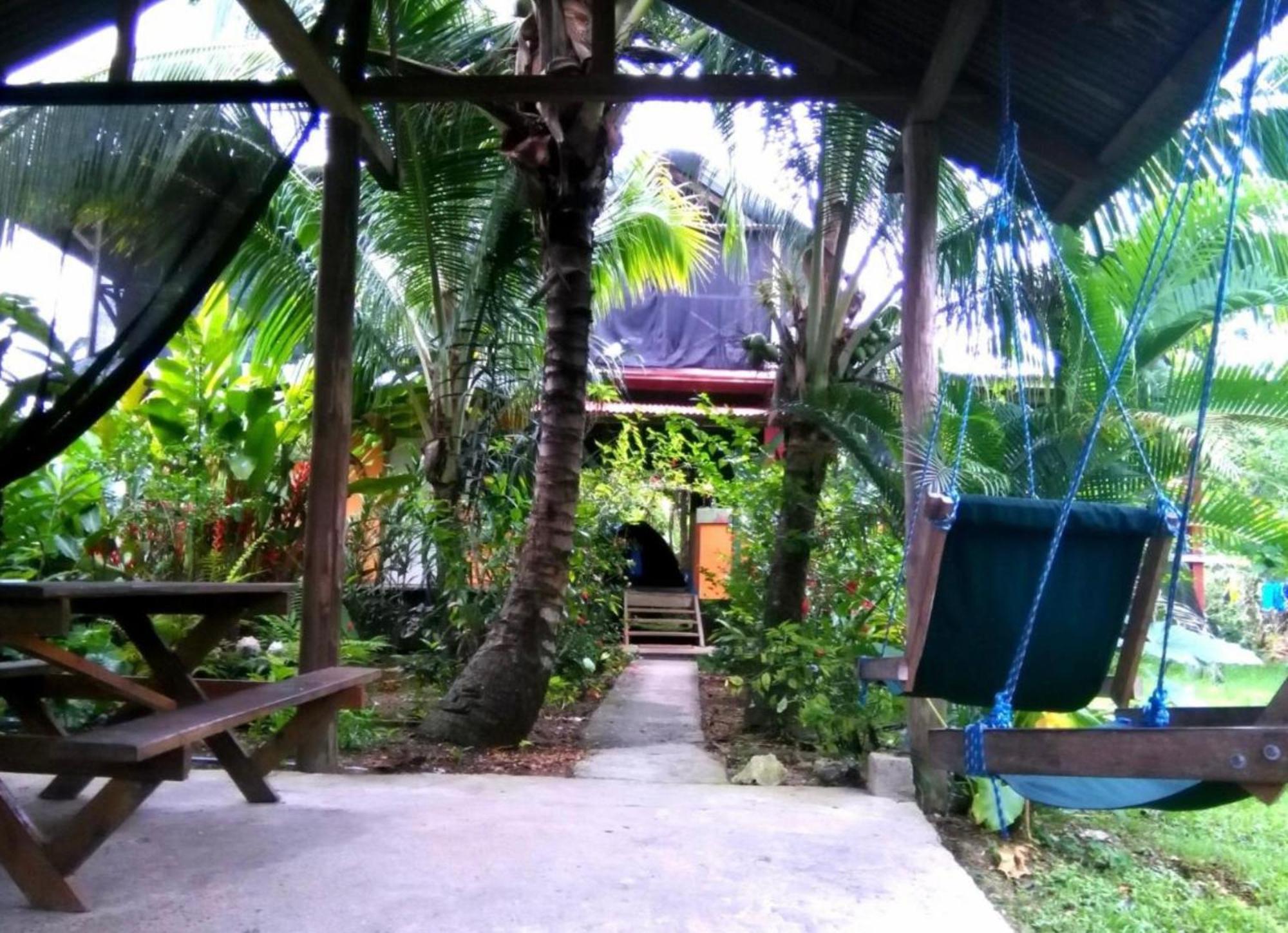 La Y Surf Camp Hotel Bocas Town Exterior foto