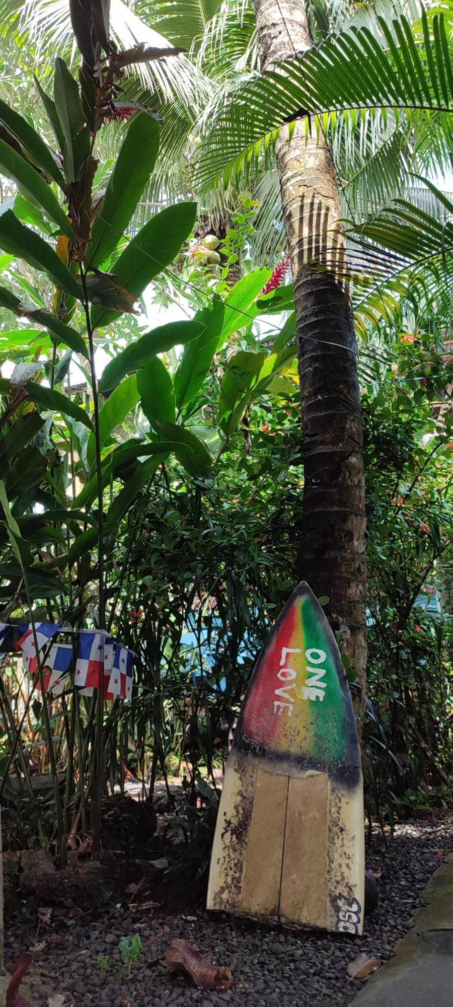 La Y Surf Camp Hotel Bocas Town Exterior foto